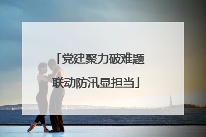党建聚力破难题 联动防汛显担当