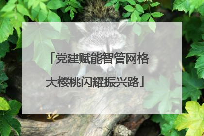 党建赋能智管网格 大樱桃闪耀振兴路