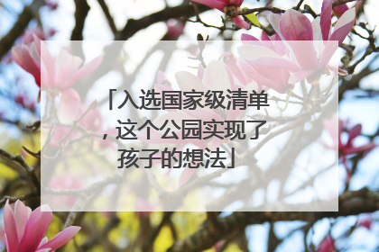 入选国家级清单，这个公园实现了孩子的想法