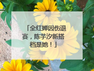 全红婵因伤退赛，陈芋汐新搭档是她！