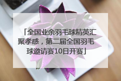 全国业余羽毛球精英汇聚孝感，第二届全国羽毛球邀请赛10日开赛