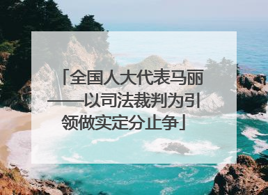 全国人大代表马丽——以司法裁判为引领做实定分止争