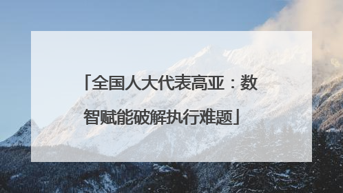 全国人大代表高亚：数智赋能破解执行难题