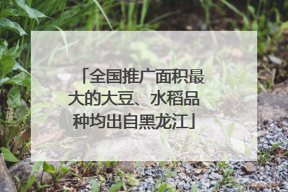 全国推广面积最大的大豆、水稻品种均出自黑龙江