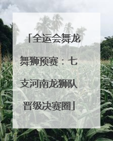 全运会舞龙舞狮预赛：七支河南龙狮队晋级决赛圈