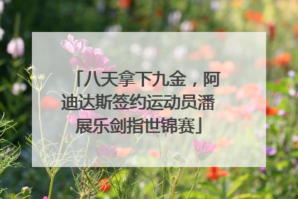 八天拿下九金，阿迪达斯签约运动员潘展乐剑指世锦赛