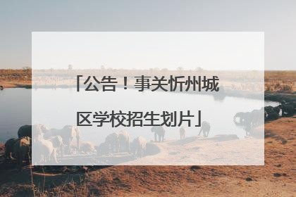 公告！事关忻州城区学校招生划片