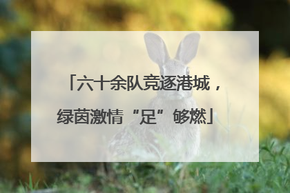 六十余队竞逐港城，绿茵激情“足”够燃