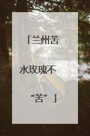兰州苦水玫瑰不“苦”