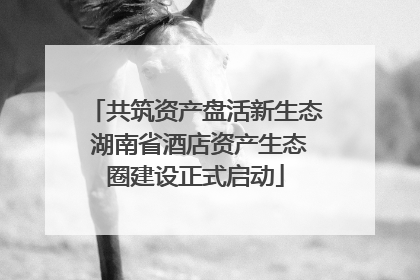 共筑资产盘活新生态 湖南省酒店资产生态圈建设正式启动