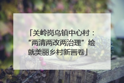关岭岗乌镇中心村：“两清两改两治理”绘就美丽乡村新画卷