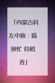 内蒙古科左中旗：插秧忙 待稻香