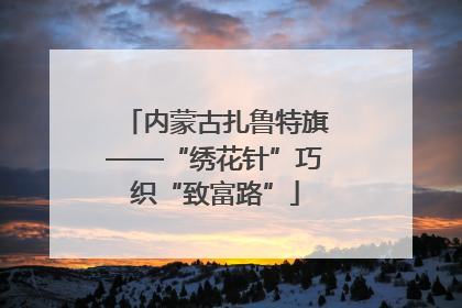 内蒙古扎鲁特旗——“绣花针”巧织“致富路”