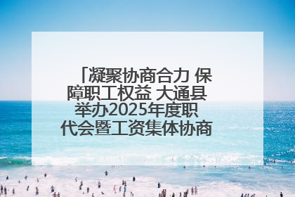 凝聚协商合力 保障职工权益 大通县举办2025年度职代会暨工资集体协商现场观摩交流活动