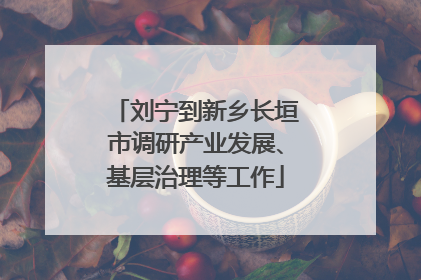 刘宁到新乡长垣市调研产业发展、基层治理等工作