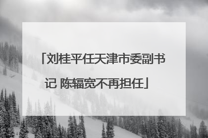 刘桂平任天津市委副书记 陈辐宽不再担任