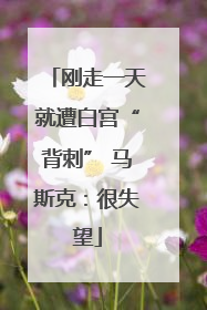 刚走一天就遭白宫“背刺” 马斯克：很失望