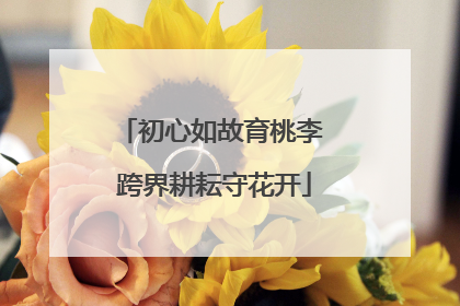 初心如故育桃李 跨界耕耘守花开