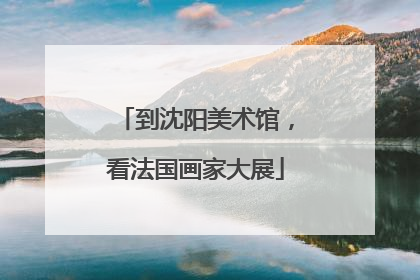 到沈阳美术馆，看法国画家大展