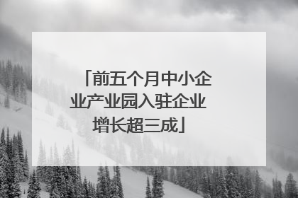 前五个月中小企业产业园入驻企业增长超三成