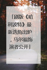 剧版《哈利波特》最新选角出炉，马尔福饰演者公开