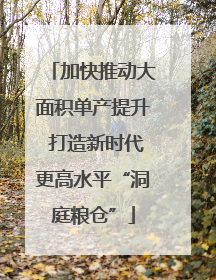 加快推动大面积单产提升 打造新时代更高水平“洞庭粮仓”