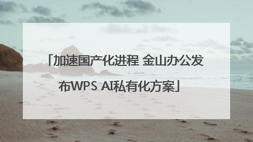 加速国产化进程 金山办公发布WPS AI私有化方案