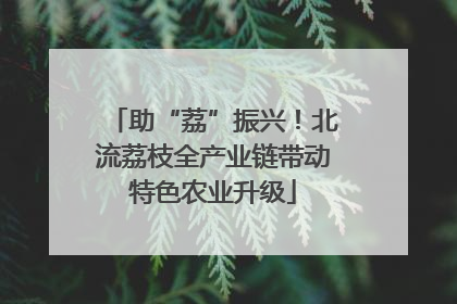 助“荔”振兴！北流荔枝全产业链带动特色农业升级
