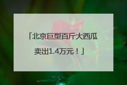 北京巨型百斤大西瓜卖出1.4万元！