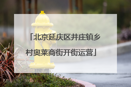 北京延庆区井庄镇乡村奥莱商街开街运营
