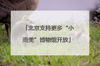 北京支持更多“小而美”博物馆开放