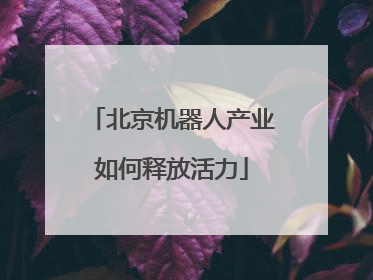 北京机器人产业如何释放活力