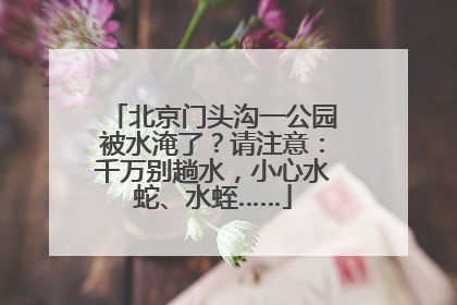 北京门头沟一公园被水淹了？请注意：千万别趟水，小心水蛇、水蛭……