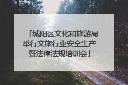 城阳区文化和旅游局举行文旅行业安全生产暨法律法规培训会