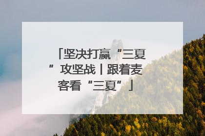 坚决打赢“三夏”攻坚战丨跟着麦客看“三夏”