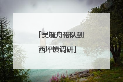 吴毓舟带队到西坪镇调研