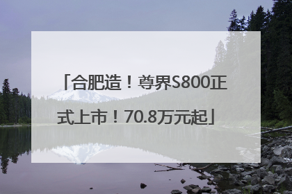 合肥造！尊界S800正式上市！70.8万元起