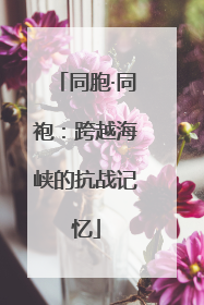 同胞·同袍：跨越海峡的抗战记忆