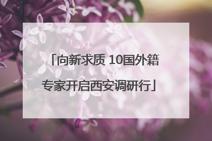 向新求质 10国外籍专家开启西安调研行