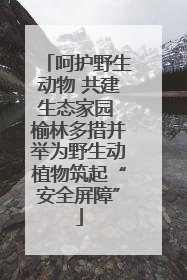 呵护野生动物 共建生态家园 榆林多措并举为野生动植物筑起“安全屏障”