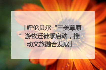 呼伦贝尔“三美草原”游牧迁徙季启动，推动文旅融合发展