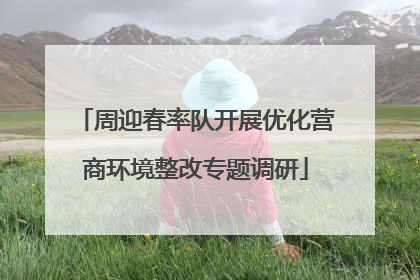 周迎春率队开展优化营商环境整改专题调研