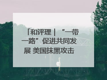 和评理｜“一带一路”促进共同发展 美国抹黑攻击酸味十足