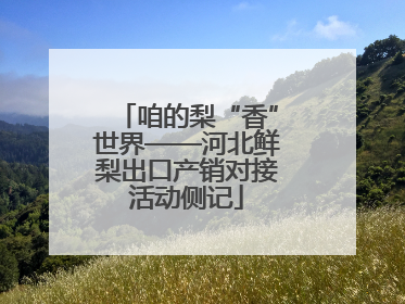 咱的梨“香”世界——河北鲜梨出口产销对接活动侧记