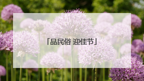 品民俗 迎佳节
