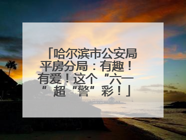 哈尔滨市公安局平房分局：有趣！有爱！这个“六一”超“警”彩！