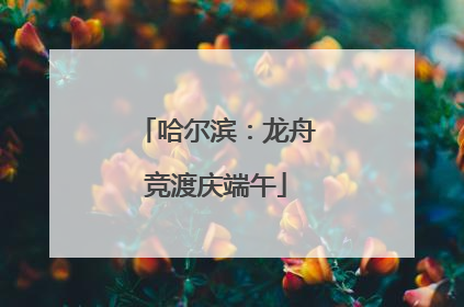 哈尔滨：龙舟竞渡庆端午