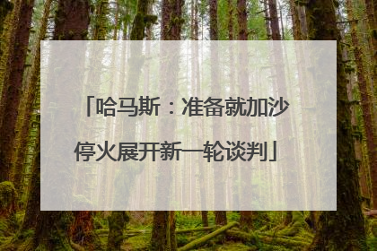 哈马斯：准备就加沙停火展开新一轮谈判