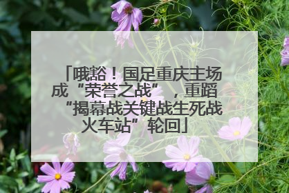 哦豁！国足重庆主场成“荣誉之战”，重蹈“揭幕战关键战生死战火车站”轮回