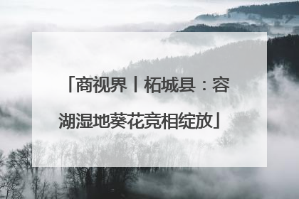 商视界丨柘城县：容湖湿地葵花竞相绽放